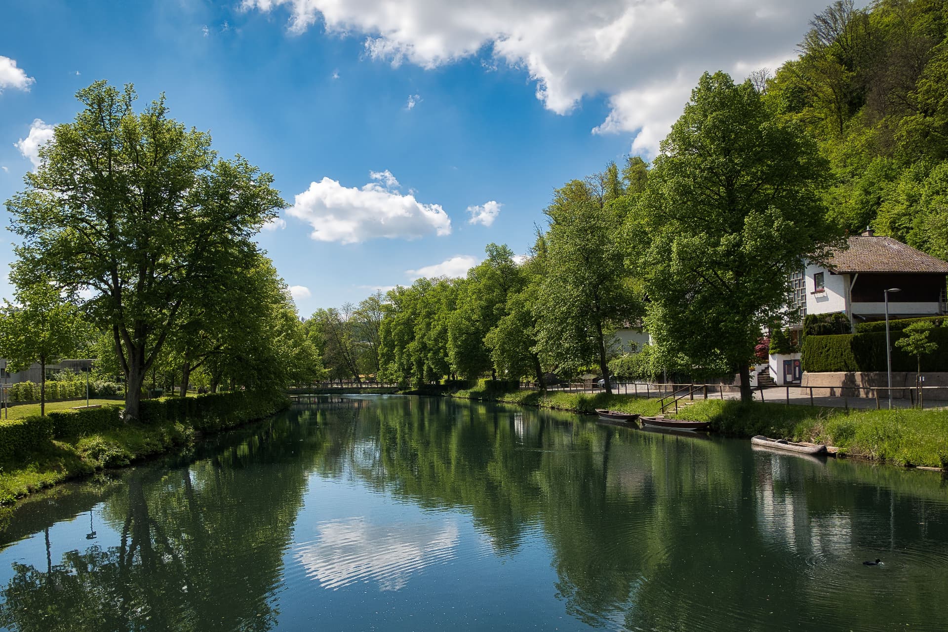 Die Nagold im Stadtpark von Nagold – unser Zuhause und Einsatzgebiet